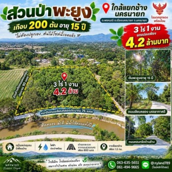 ขายสวนป่าพะยูงเกือบ 200 ต้น อายุ 15 ปี 3 ไร่ 1 งาน ใกล้แยกช้าง นครนายก เดินทางง่ายมาก เข้าออกสะดวก ร