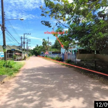 ขายโรงงาน ชุมพร  ถนน สายปากคลอง ตำบล ปากน้ำ อำเภอ เมืองชุมพร จังหวัด ชุมพร