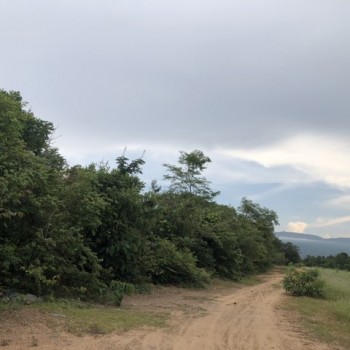 ที่ดินบ้านให้เช่าและขายราคาดี  ขายที่ดินสวยติดภูเขา  ฟ้าใสวิวหลักล้าน ต.นาจาน อ.สีชมพู จ.ขอนแก่น