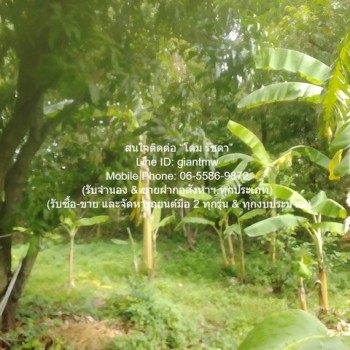 DSL-1009.2 ให้เช่า ที่ดิน ขายที่ดินเกษตรกรรมผืนใหญ่ 3-0-27.3 ไร่ ถนนพิบูลสงคราม นนทบุรี ใกล้กับ ห่าง