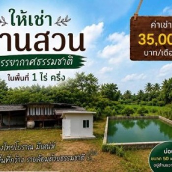 ให้เช่าบ้านชลบุรี ให้เช่าบ้านสวน พื้นที่ประมาณ 1 ไร่ครึ่ง บ้านทรงไทยโบราณ มีเอกลักษณ์