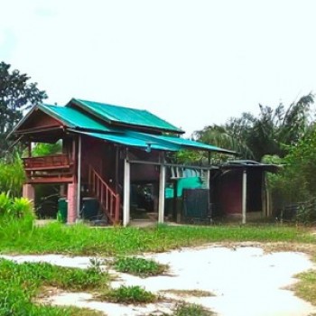 ขายที่ดินพร้อมสิ่งปลูกสร้างบ้านบึงชลบุรี  บ้านสวน 2 ไร่ พร้อมบ้านเรือนไทย ในชลบุรี  เพียง 1.9 ล้านบา