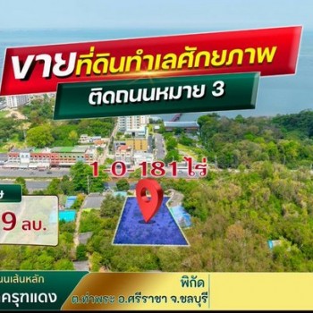 ขายที่ดินบางพระ ศรีราชา แปลงสวย ใจกลางเมือง แหล่งชุมชน FP-L02374