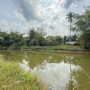 ขายที่ดินบ้านโค้งดารา หนองขาม ศรีราชา แปลงสวย ติดลำธารธรรมชาติ FP-L02443